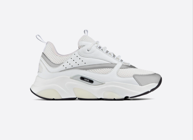 Dior B22 White Silver