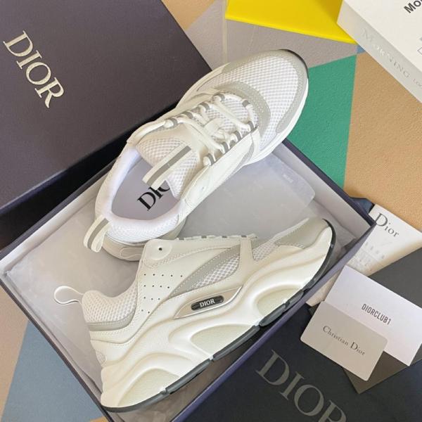 Dior B22 White Silver