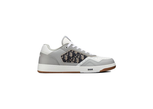 Dior B27 Low Gray White