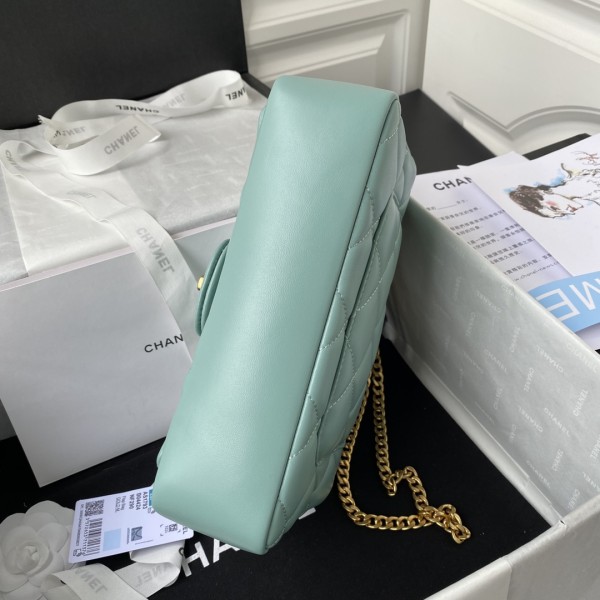  Handbag  Chanel  AS1793 size  22 cm