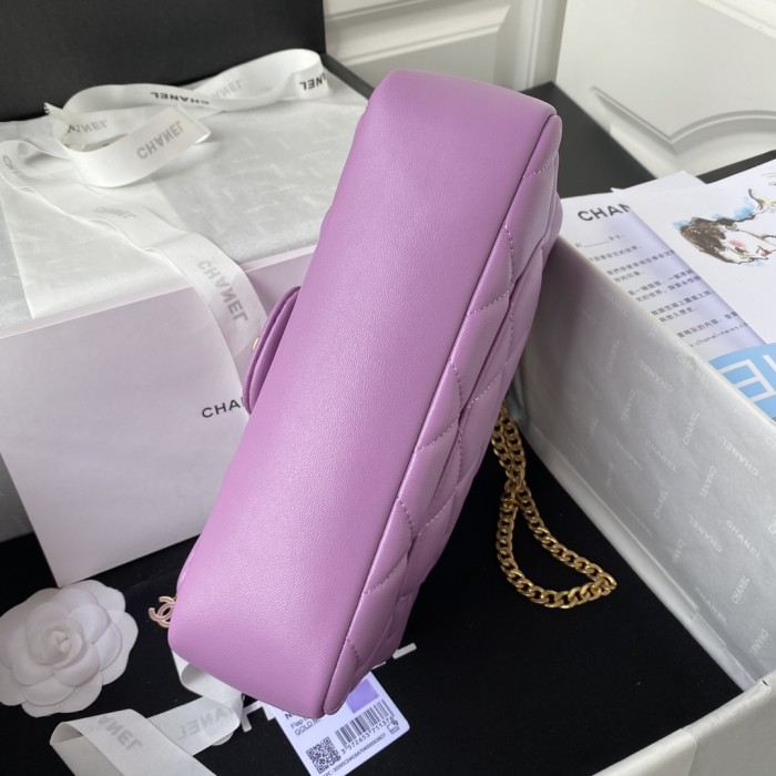  Handbag  Chanel AS1793 size 22 cm