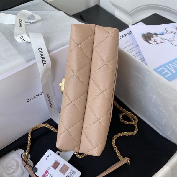  Handbag  Chanel  AS3011  size 21x13x7 cm