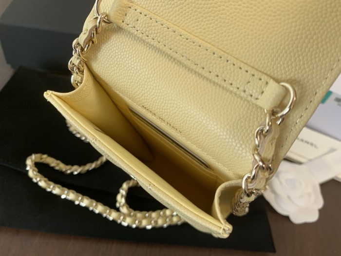 Handbags  Chanel  2033 