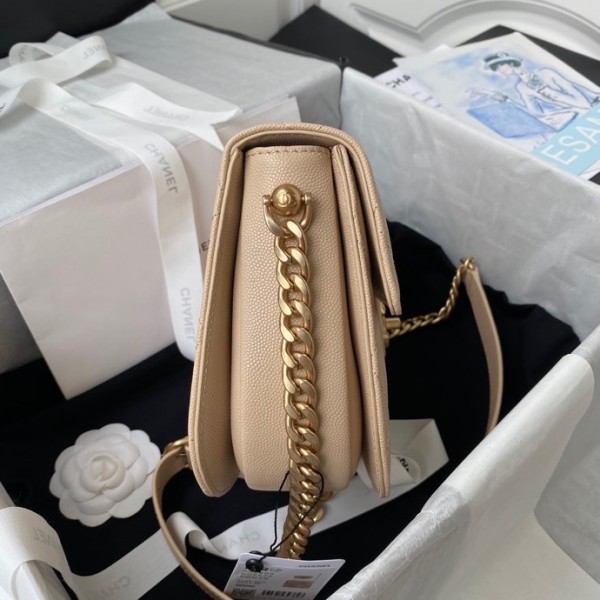 Handbag  Chanel AS2485  size 17*23*8.5 cm