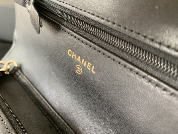  Handbag  Chanel 2022  size 19 cm