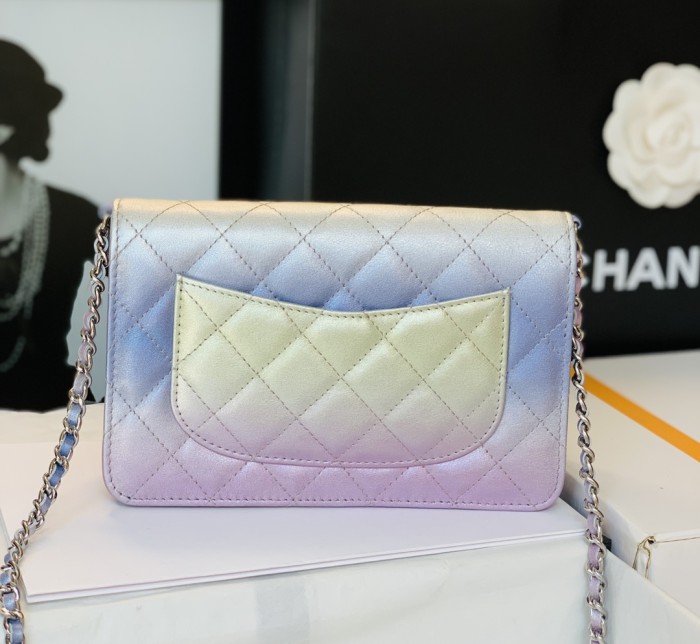  Handbag  Chanel size 19 cm