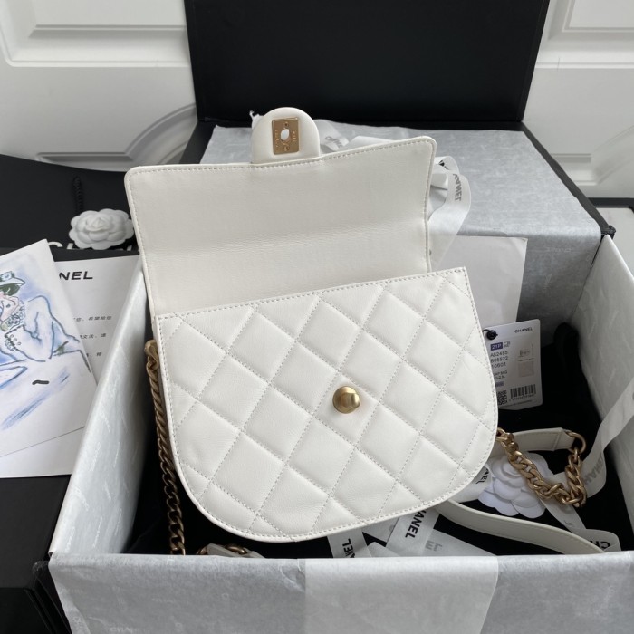  Handbag  Chanel  AS2484 size 15*20*6.5 cm