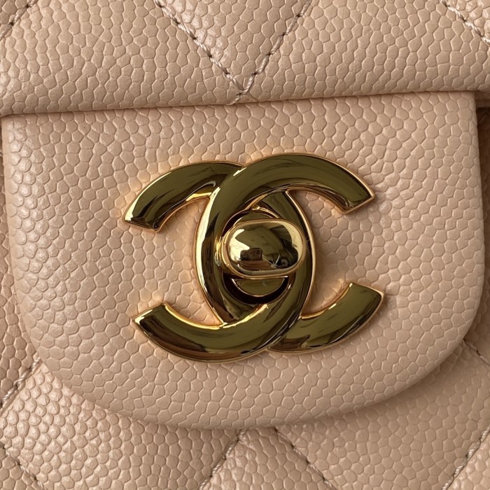  Handbag  Chanel A01113 size 23 cm