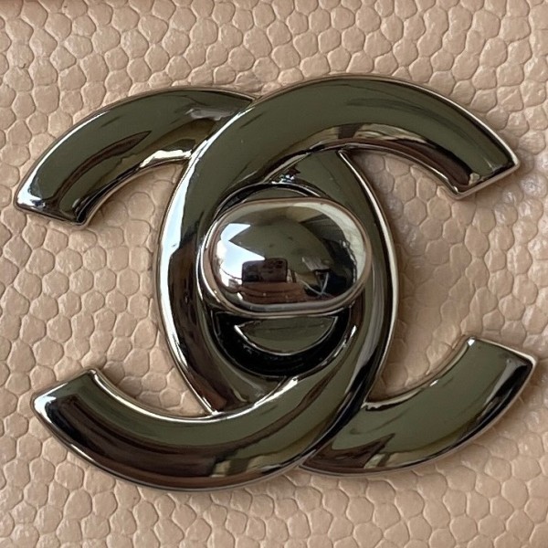 Handbag  Chanel A01113 size 23 cm