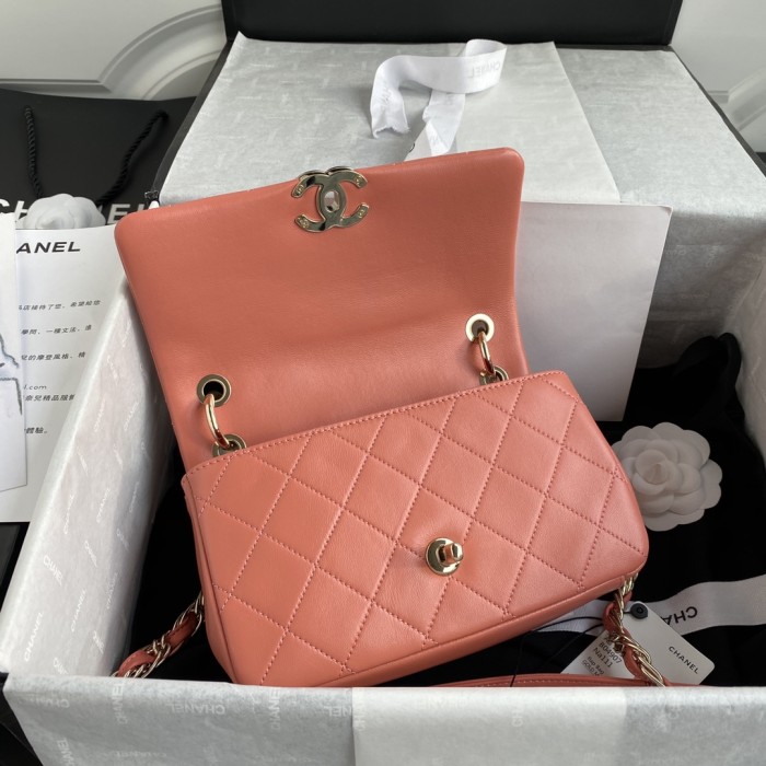  Handbag  Chanel size 22 cm