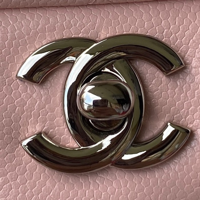  Handbag  Chanel  A01113 size 23 cm