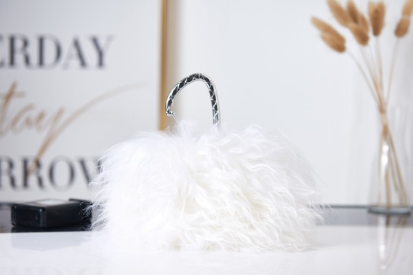  Handbag  Chanel AS2397  size 9-12-5 cm