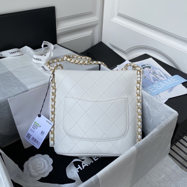  Handbag  Chanel  AS2543  size 23X25.5X8 cm