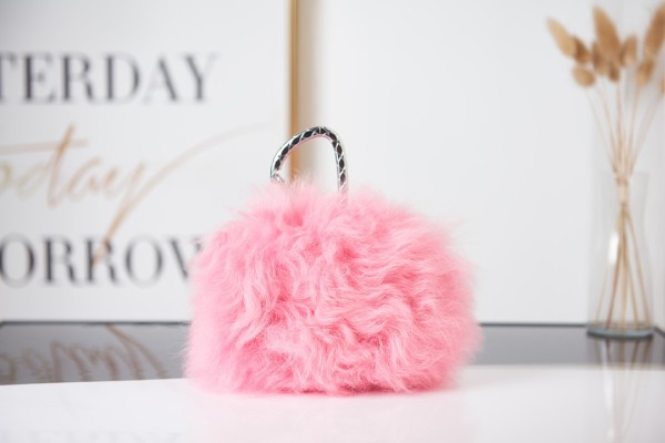  Handbag  Chanel AS2397 size  9-12-5 cm