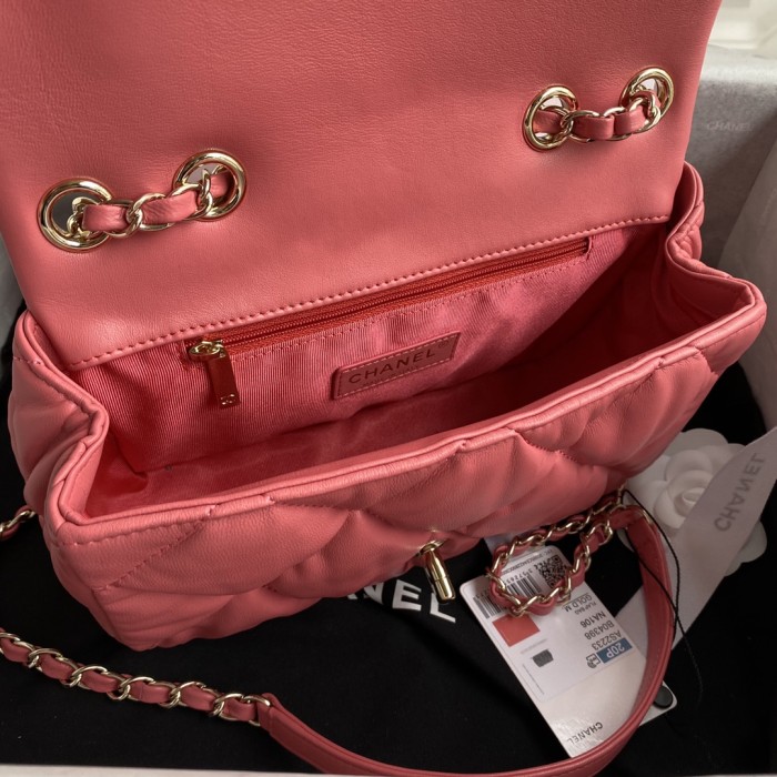  Handbag  Chanel AS2233 size 22 cm