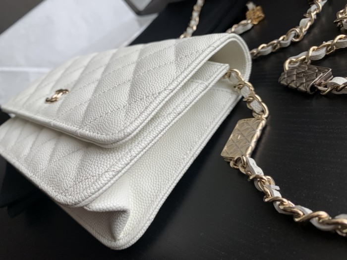  Handbag   Chanel AP2400 size 19 cm 