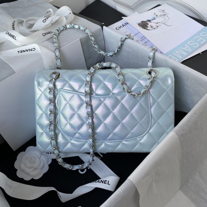  Handbag Chanel  A01112  size  25 cm