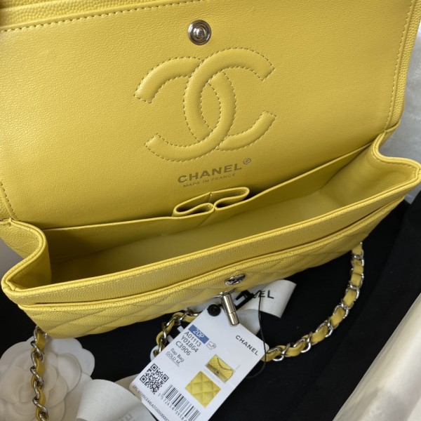  Handbag  Chanel A01113  size  23 cm.