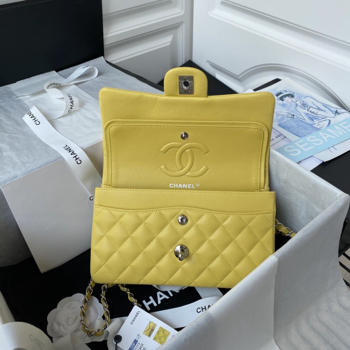  Handbag  Chanel A01113  size  23 cm.