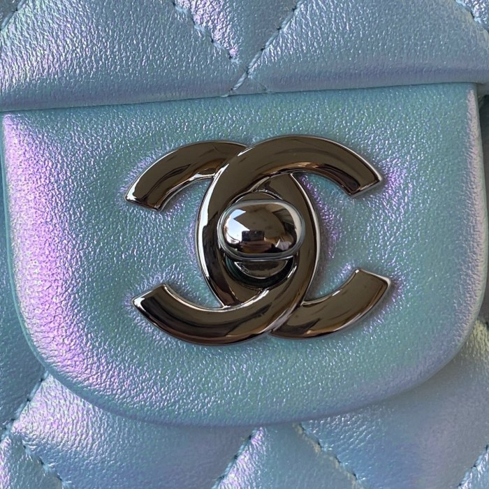  Handbag  Chanel  A01113 size 23 cm