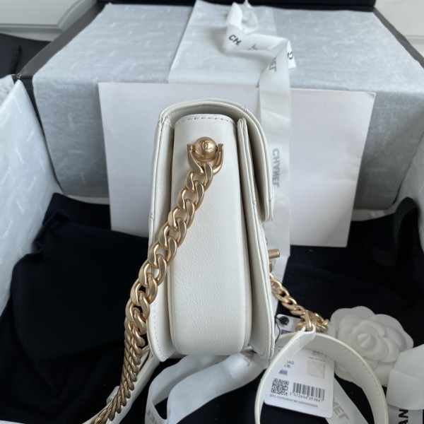  Handbag  Chanel AS2484 size  15*20*6.5 cm 