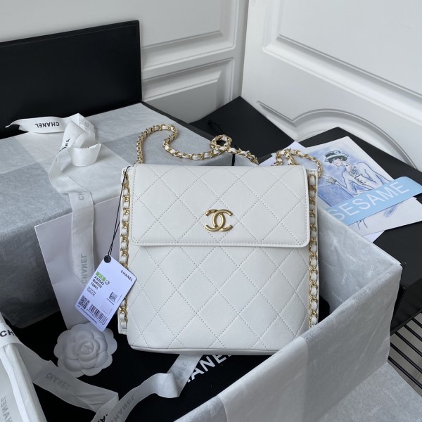  Handbag  Chanel  AS2543  size 23X25.5X8 cm