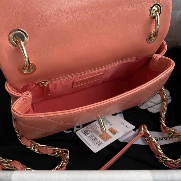  Handbag  Chanel size 22 cm