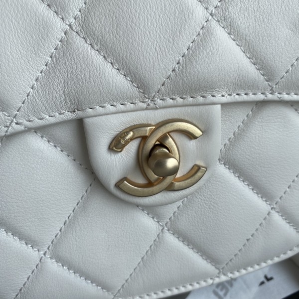  Handbag  Chanel AS2484 size  15*20*6.5 cm 