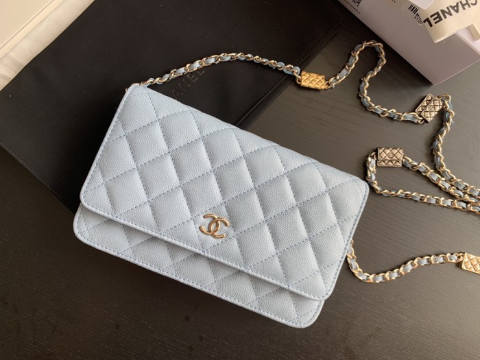  Handbag   Chanel AP2400 size 19 cm