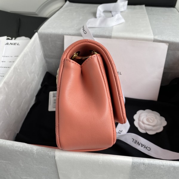  Handbag  Chanel size 22 cm