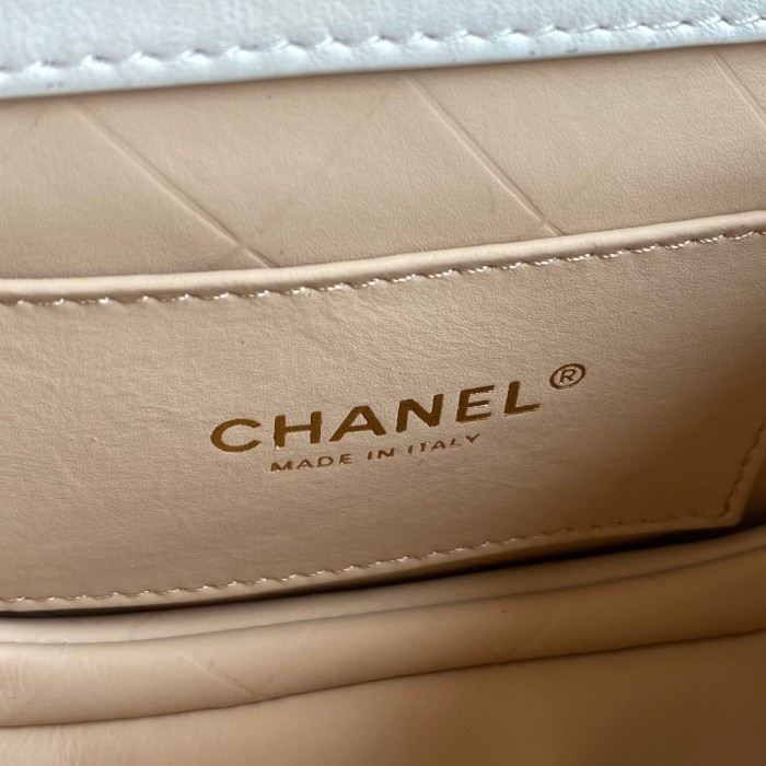  Handbag  Chanel AS2484 size  15*20*6.5 cm 