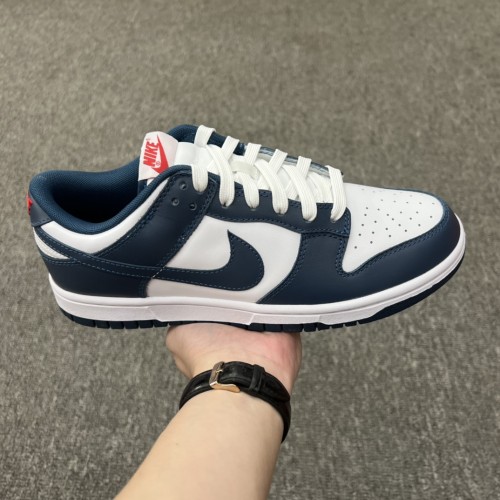 Nike Dunk Low Valerian Blue