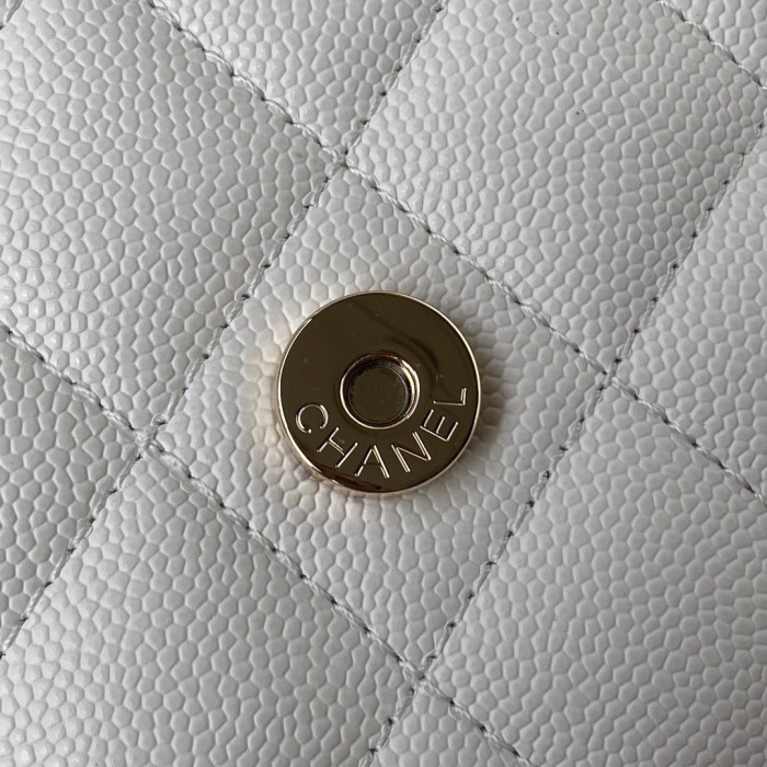 Handbag  Chanel  AP2400 size 19 cm 