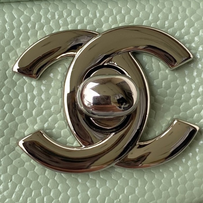  Handbag Chanel size  20 cm