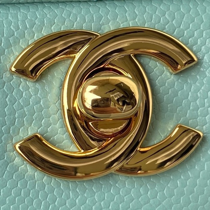 Handbag  Chanel  size 20 cm