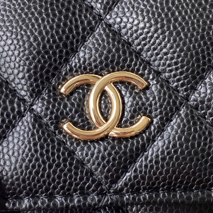 Handbag  Chanel  AP2400  size  19 cm