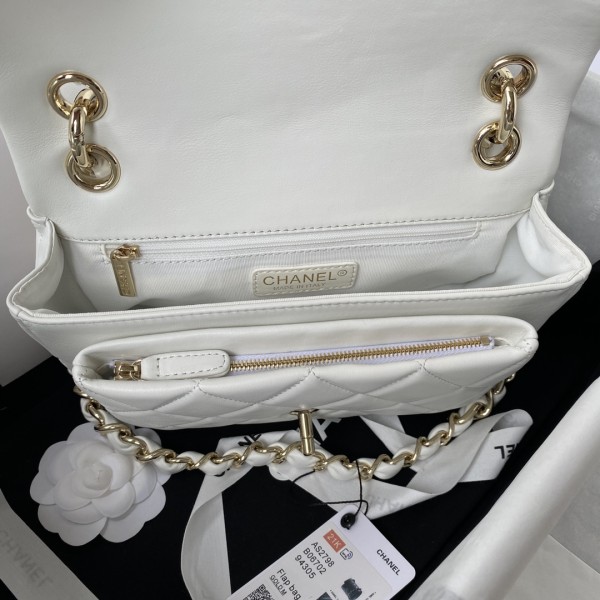  Handbag  Chanel AS2798  size 16.5×23×6 cm