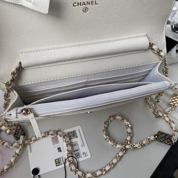 Handbag  Chanel  AP2400 size 19 cm 