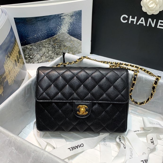  Handbag  Chanel 2308 size  20 6.5 14.5 cm