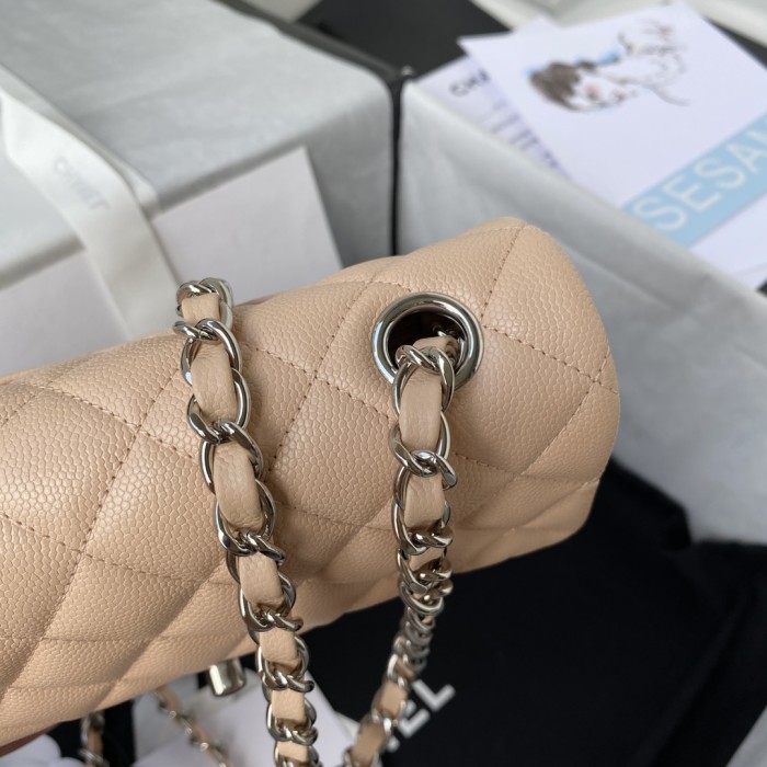  Handbag  Chanel  size  20 cm