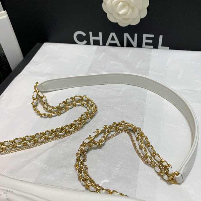  Handbag  Chanel AS2564 size  25 23 3 cm