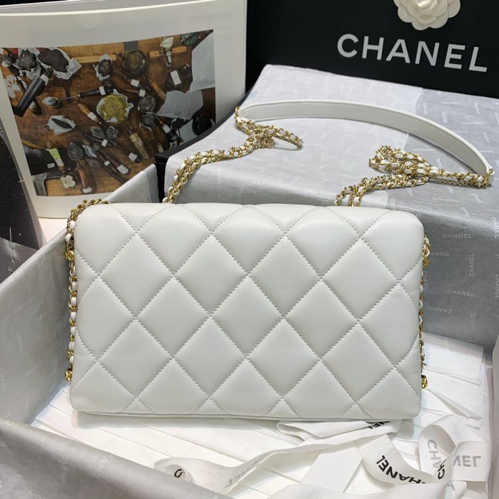  Handbag  Chanel AS2563 size 25 4 15 cm