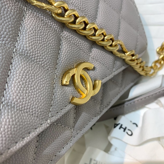  Handbag Chanel  81153  size  19 cm