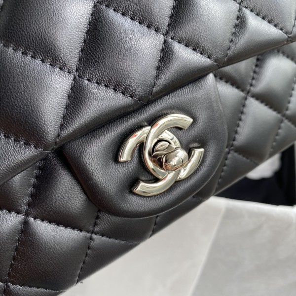  Handbag  Chanel  size  20 cm