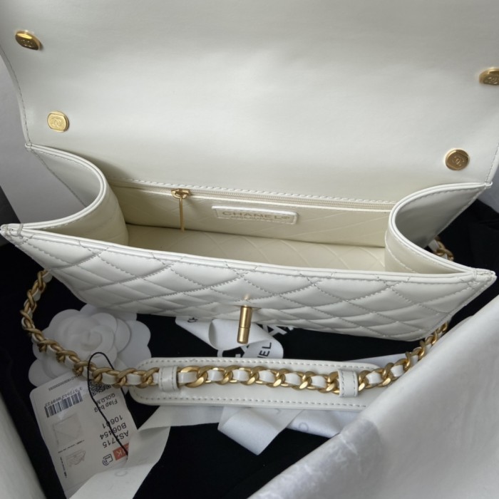 Handbag  Chanel   AS2715  size  23  cm 