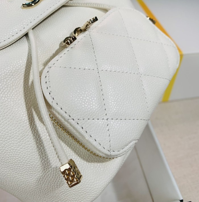  Handbag  Chanel 2022cc  size 20x19x12 cm 