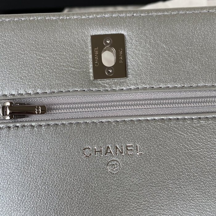  Handbag Chanel  AP2853  size 19.2*12.3*3.5 cm
