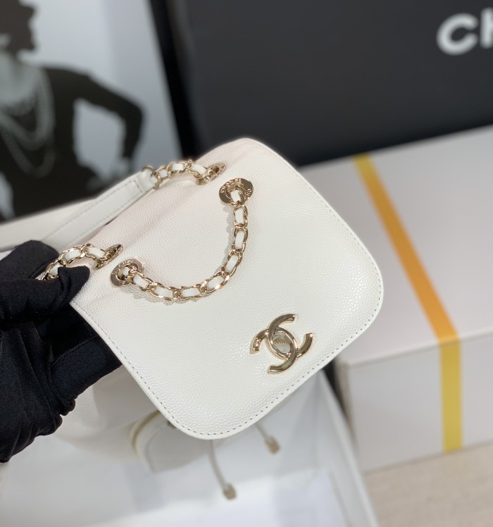  Handbag  Chanel 2022cc  size 20x19x12 cm 