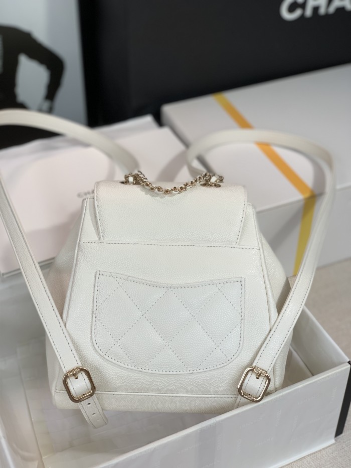  Handbag  Chanel 2022cc  size 20x19x12 cm 