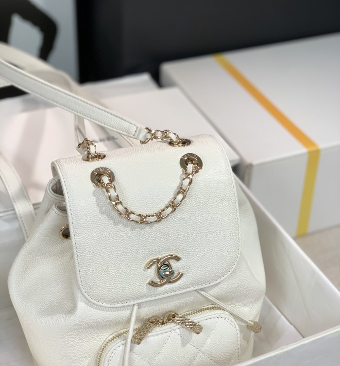  Handbag  Chanel 2022cc  size 20x19x12 cm 